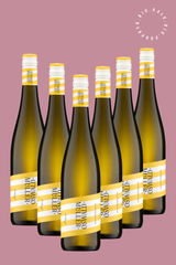 GRAUBURGUNDER Probierpaket