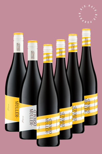 Spätburgunder Probierpaket